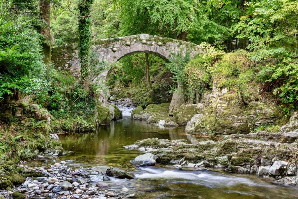 Foley's Bridge in Tolleymore Forest Park 